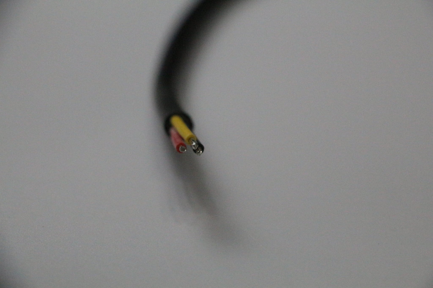 Pigtail Ray Wu-2