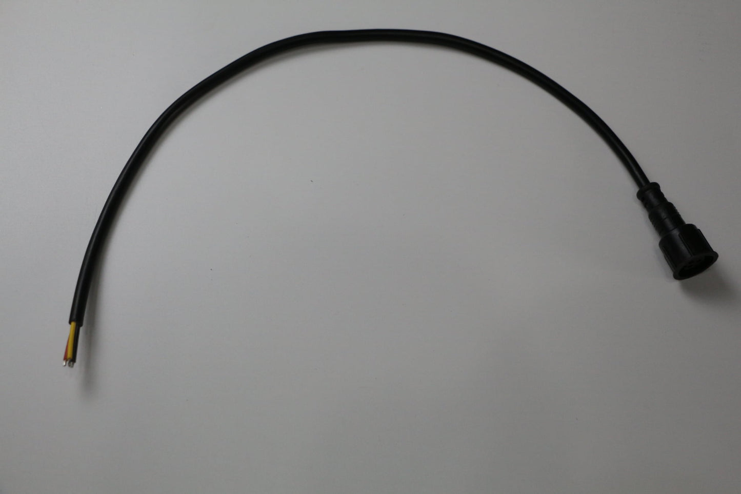 Pigtail Ray Wu-1
