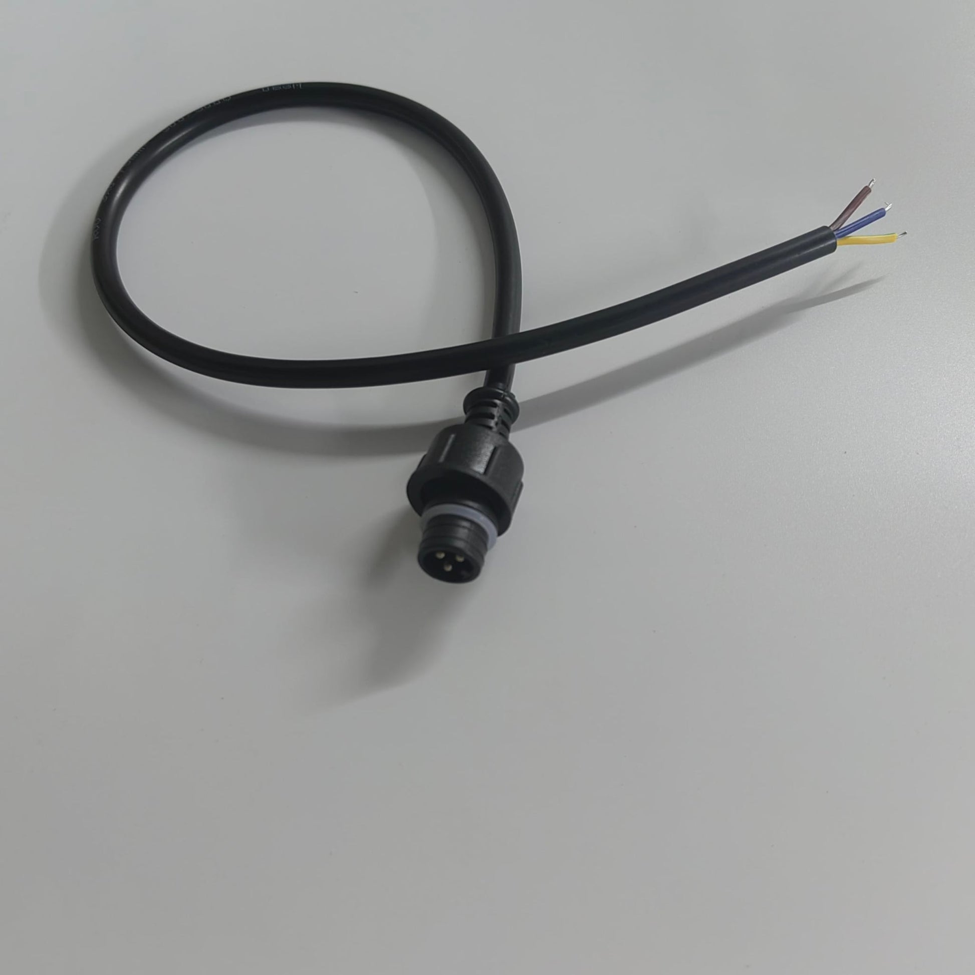 Pigtail Ray Wu-3